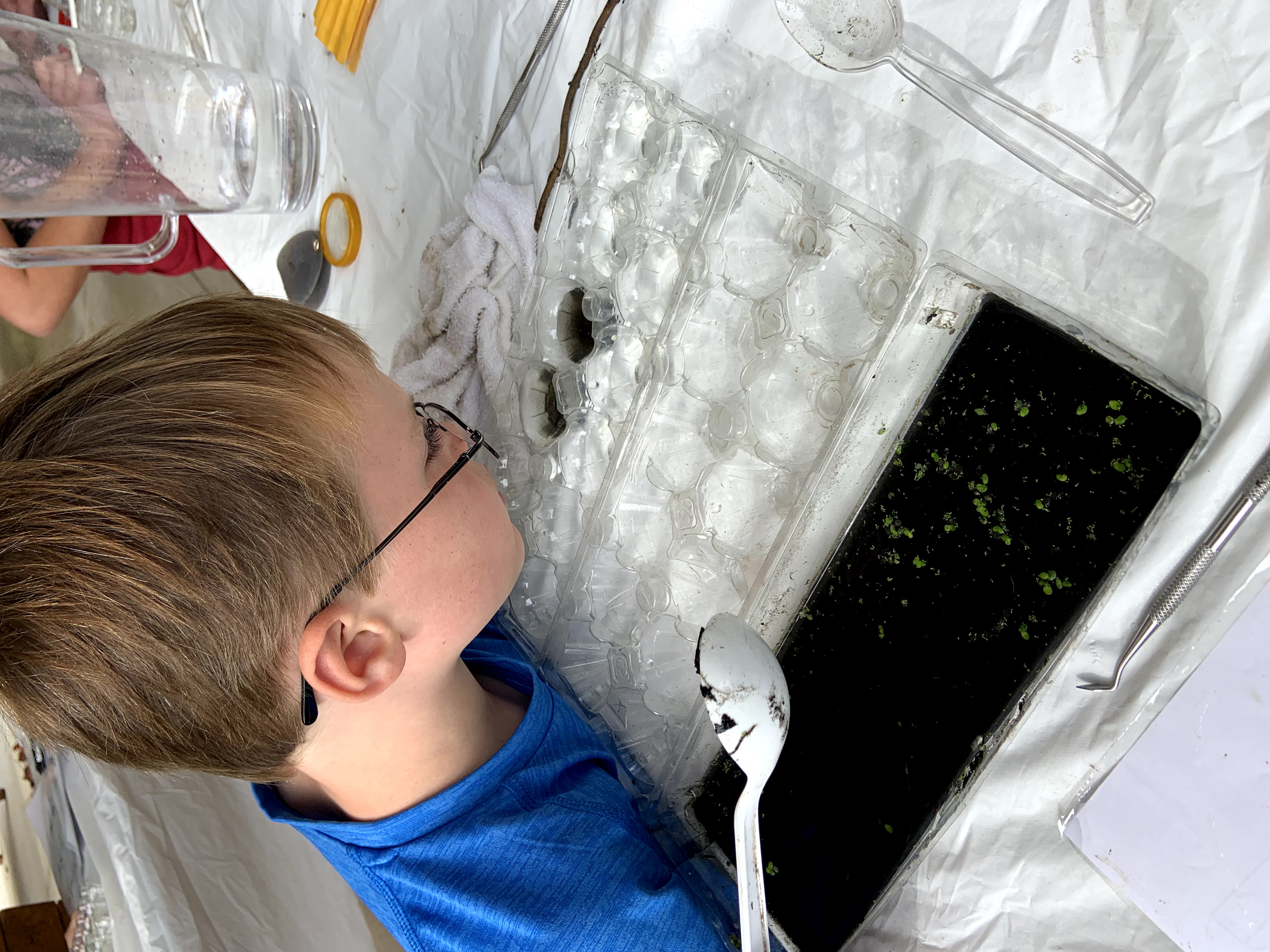 Child observing the samples