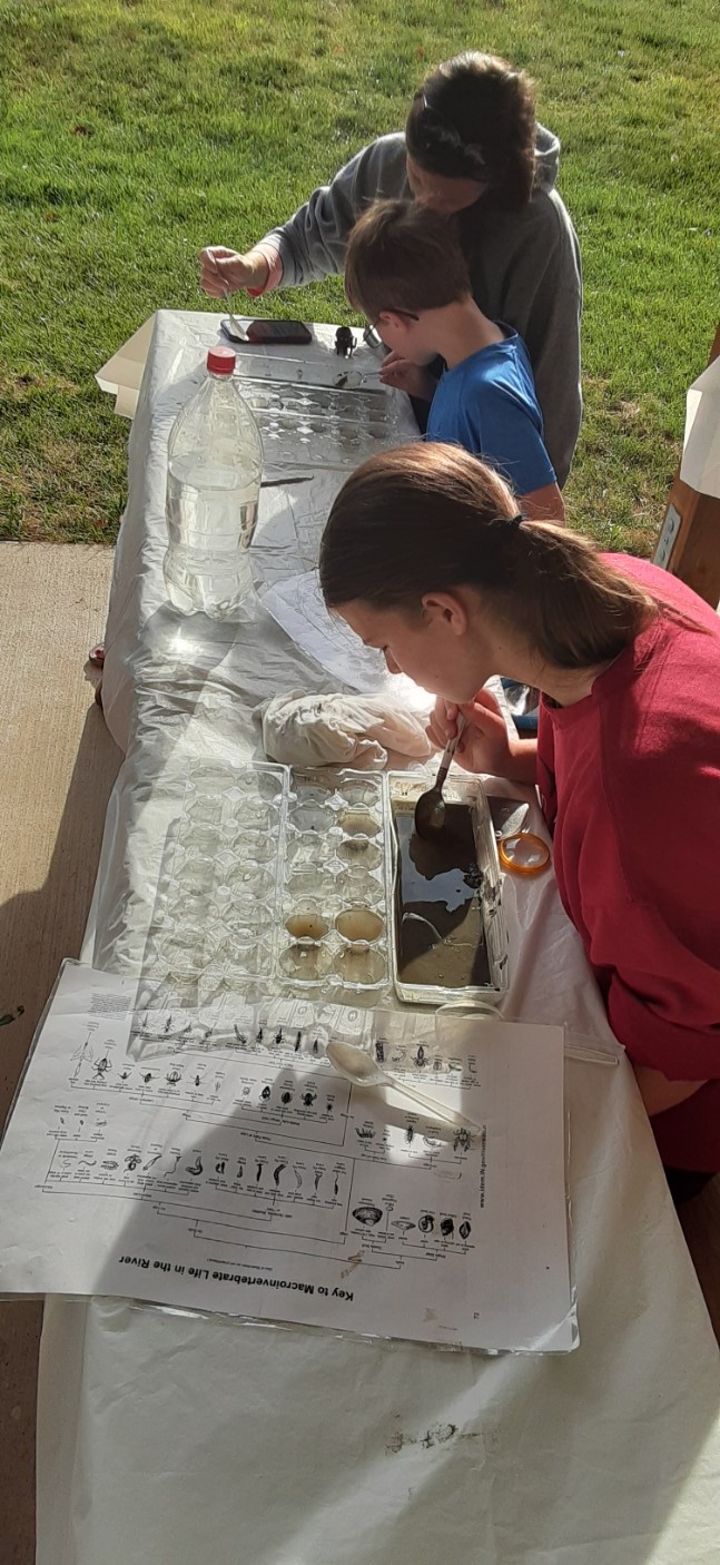 Woman viewing macro samples