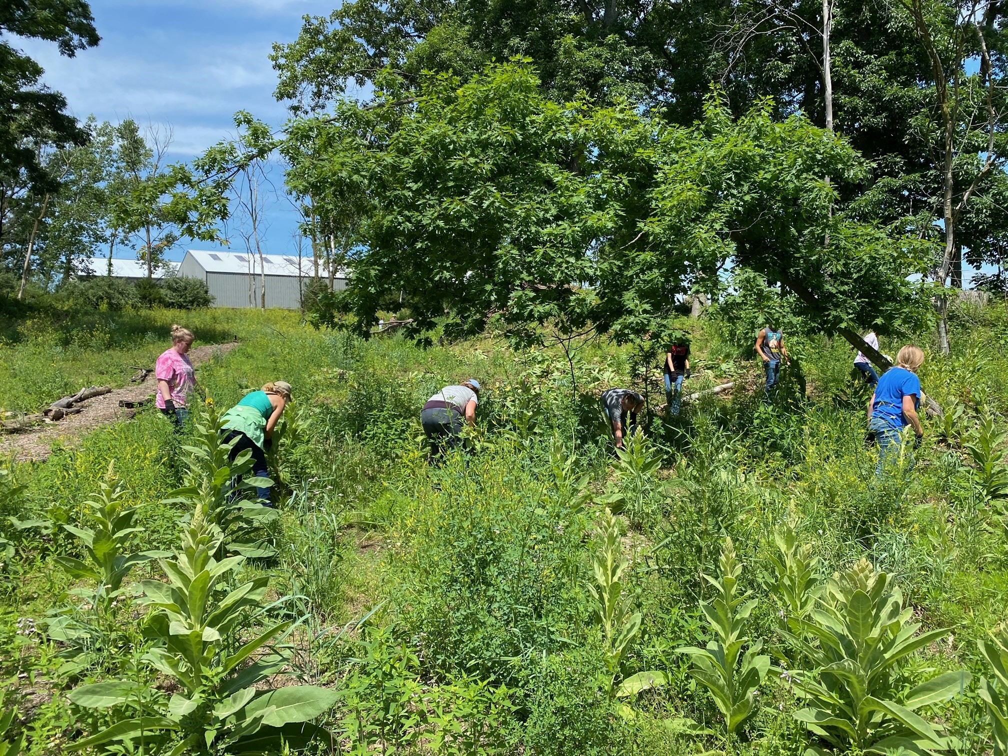 Volunteers working