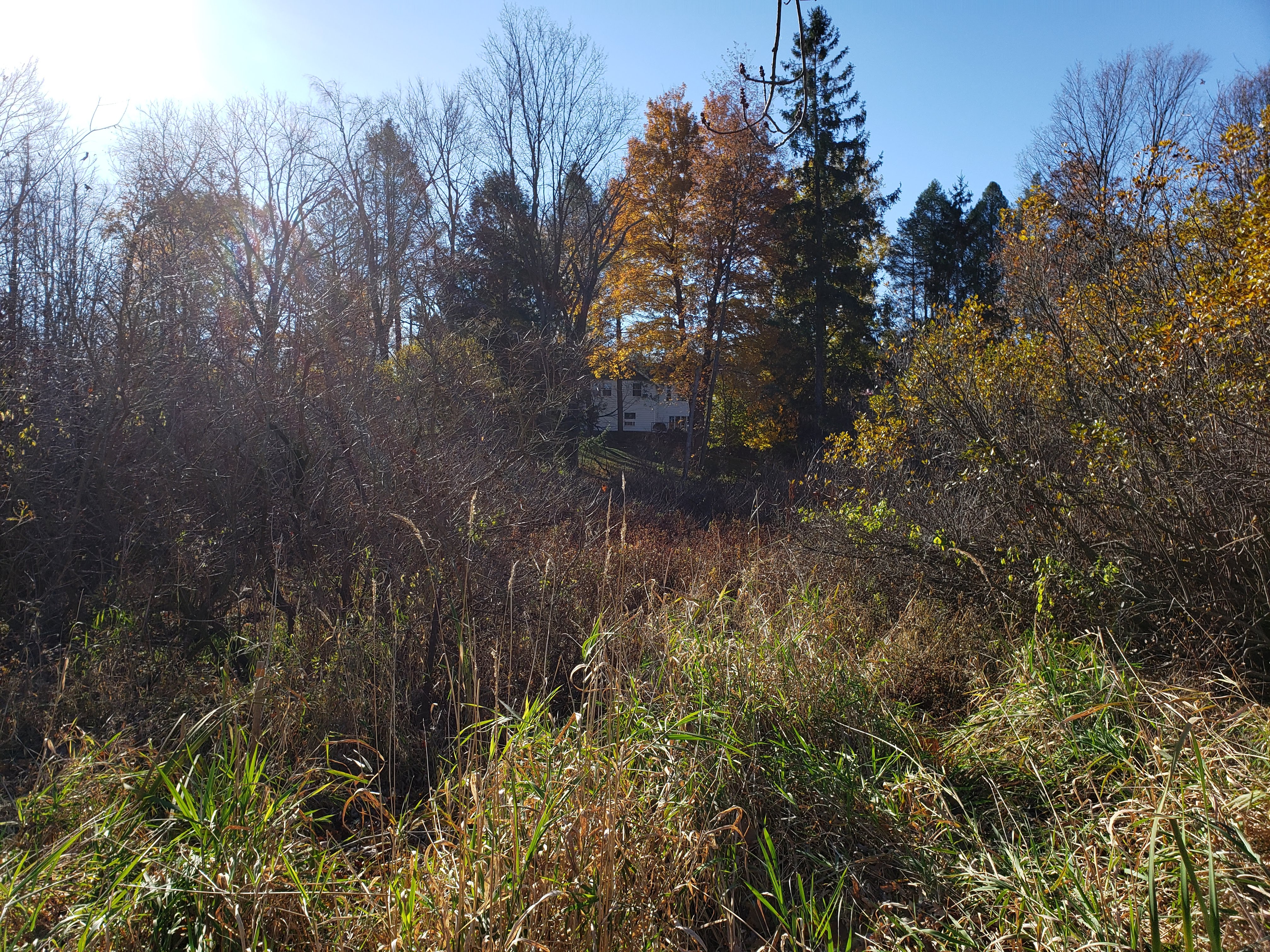 CL Lutheran Wetlands