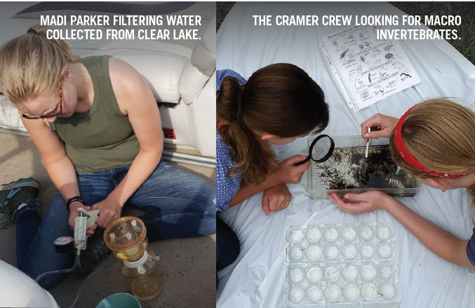 Madi Parker filtering water collected from Clear Lake (left). The Cramer Crew looking for macro invertebrates (right).