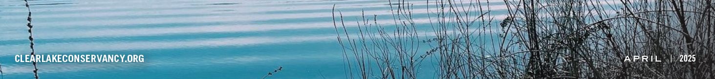 Image Description Here