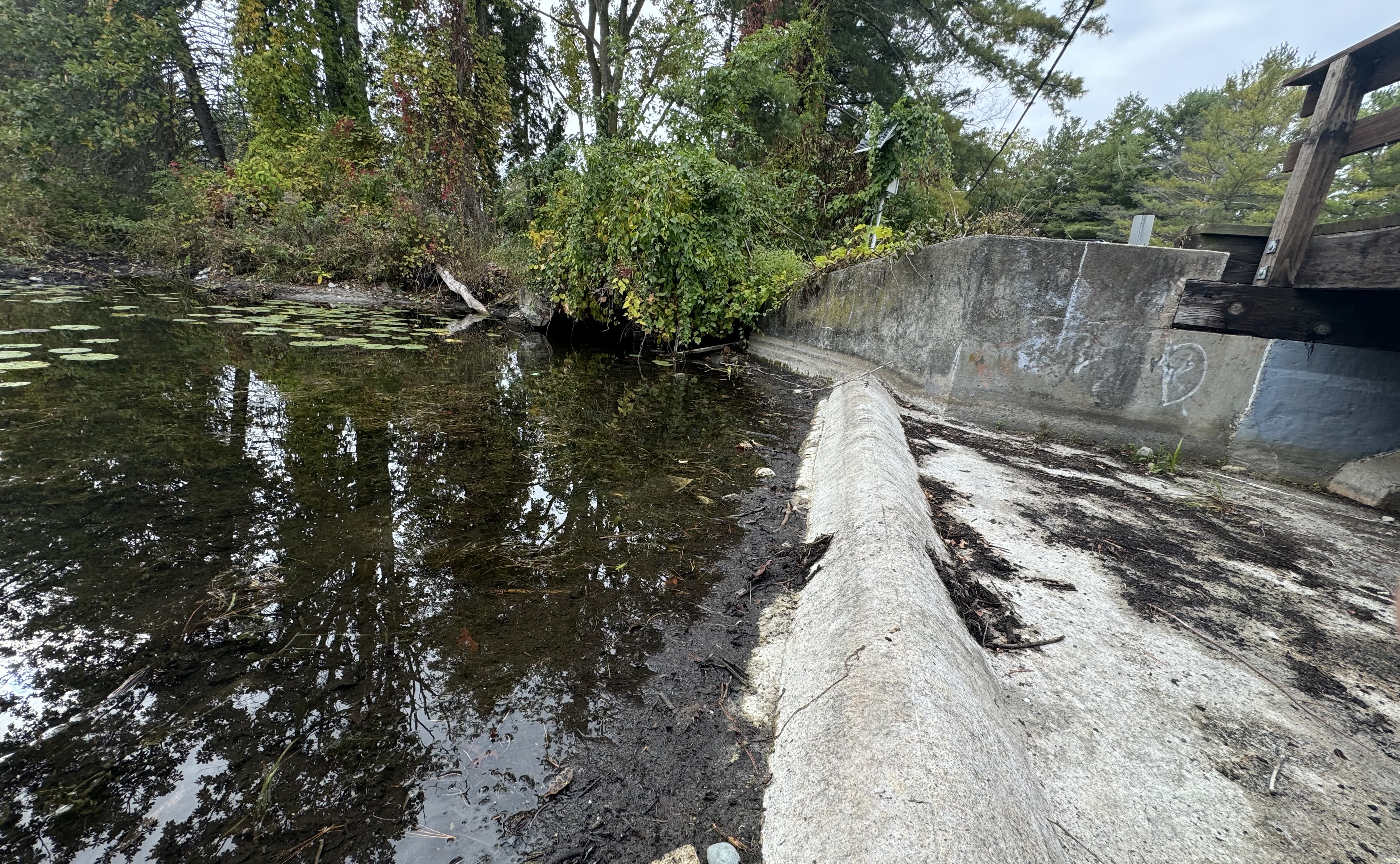 Image Description Here