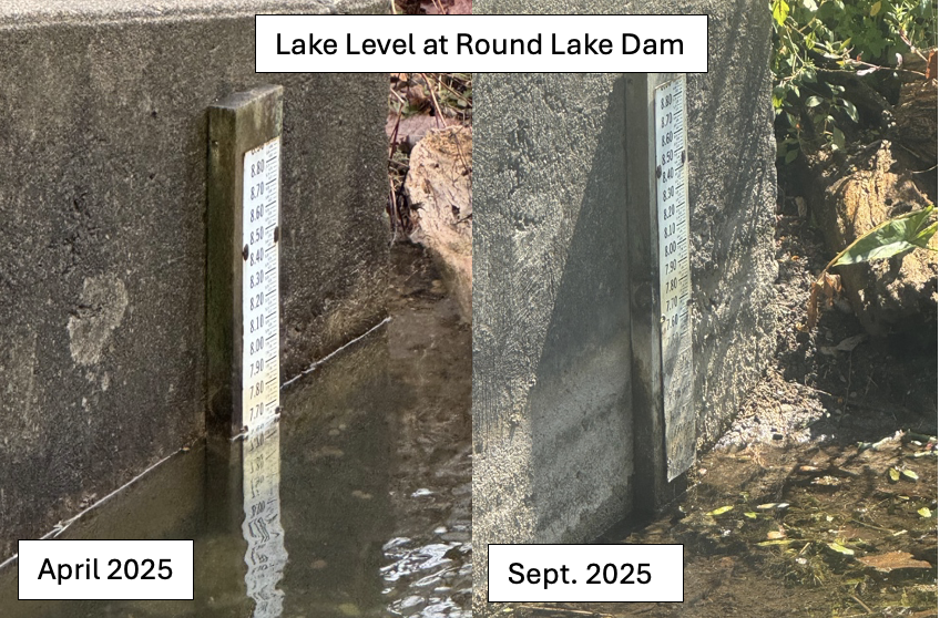 Image Description Here