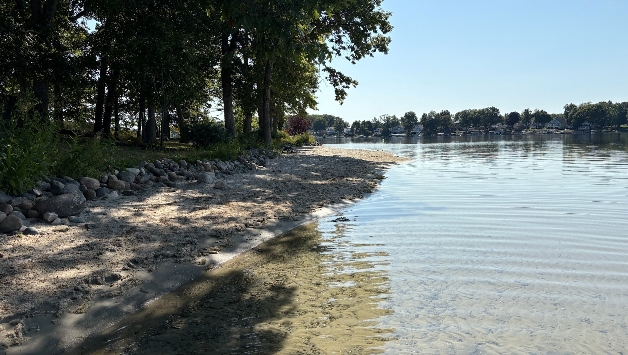 Image Description Here