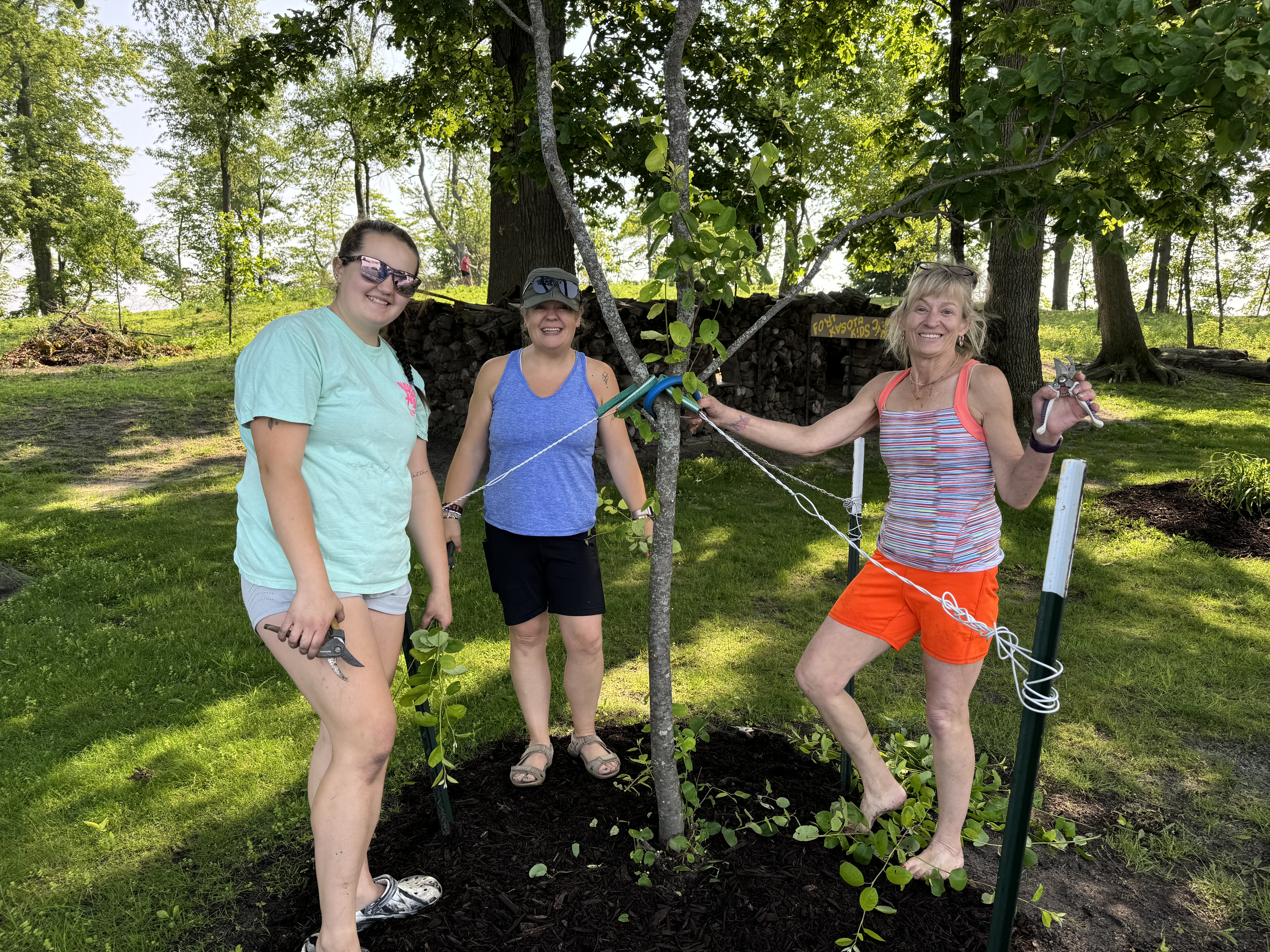 Image Description Here